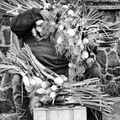 calabria_libro_ant_002_Mario_Greco