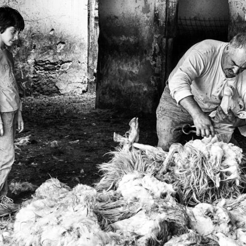 calabria_libro_ant_004_Mario_Greco