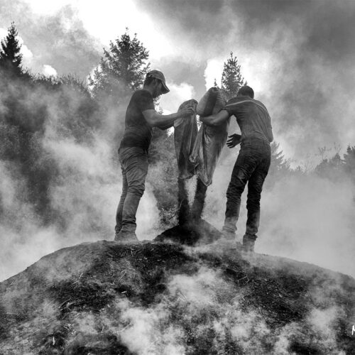 calabria_libro_ant_005_Mario_Greco