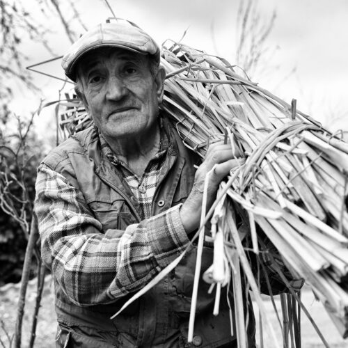 calabria_libro_ant_009_Mario_Greco