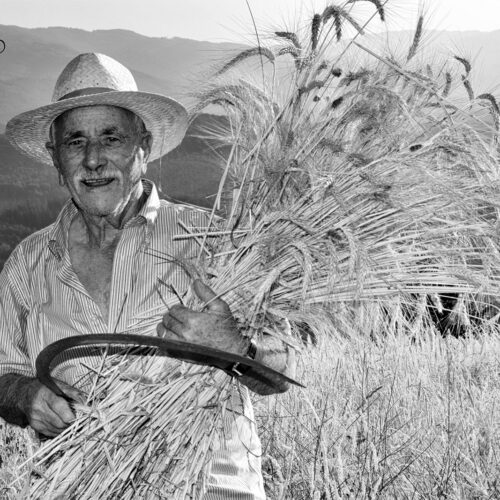 calabria_libro_ant_011_Mario_Greco