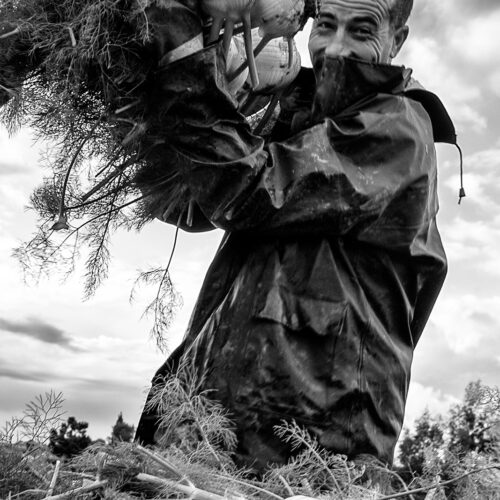 calabria_libro_ant_012_Mario_Greco