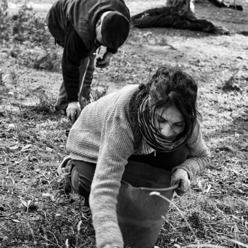 calabria_libro_ant_013_Mario_Greco