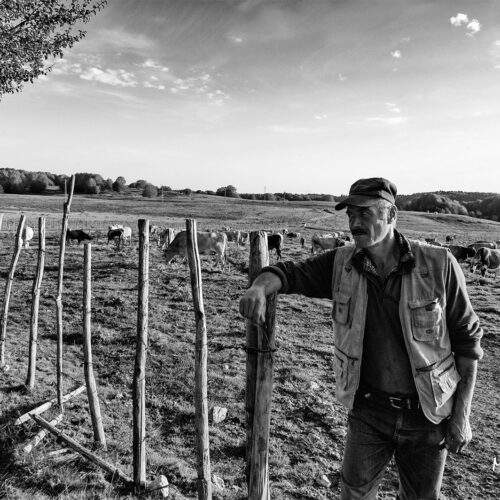 calabria_libro_ant_014_Mario_Greco