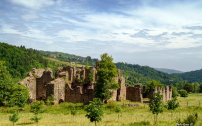 Abbazia di Santa Maria di Corazzo- Castagna Carlopoli (cz)