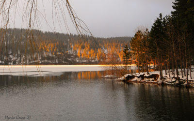 Inverno sull’Ampollino
