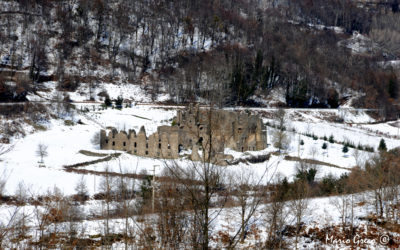 Abbazia di Corazzo – Castagna di Carlopoli