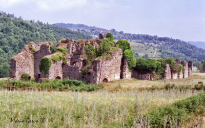 Abbazia di Corazzo 1980 “prima del restauro conservativo