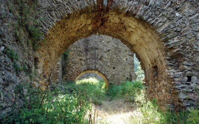 Abbazia di Corazzo – Castagna – Carlopoli