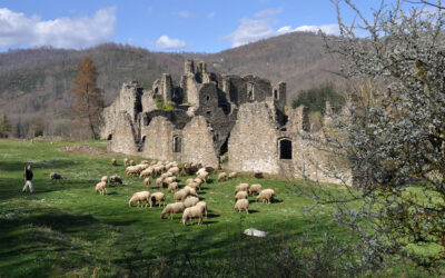 Abbazia di Corazzo – Castagna – Carlopoli