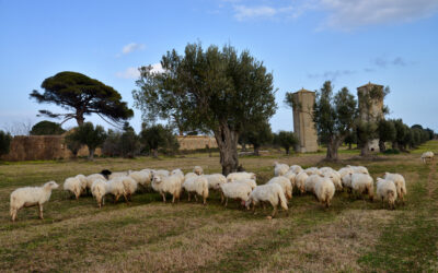 Isola Capo Rizzuto