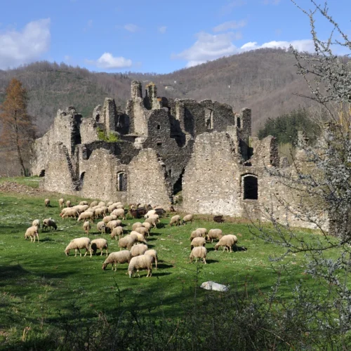 header4_Corazzo_Mario_Greco