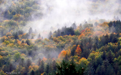 Ultimi giorni d’autunno in Sila