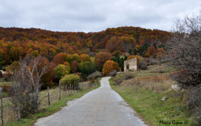 Foliage a Carlomagno