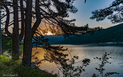 Concerto sul Lago