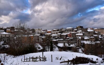 Panettieri  innevato