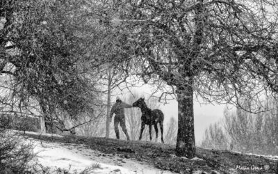 Sull’altopiano silano si prepara la tormenta