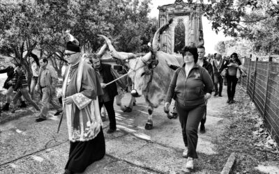 Processione della Madonna di Capo Colonna