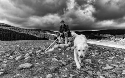 “Da Storie di uomini e di terre” di Mario Greco