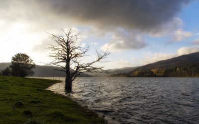 Sila – Autunno sul lago Ampollino