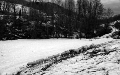 La Calabria è terra per grandi fotografie ed è terra di tanti  bravi fotografi