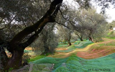 Nell’alternarsi delle stagioni, la terra racconta le storie del vento, della pioggia, delle pietre e delle radici e il vero contadino è colui che sa ascoltarle. (Fabrizio Caramagna)