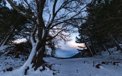 Sila – tramonto invernale  Ph © Mario Greco