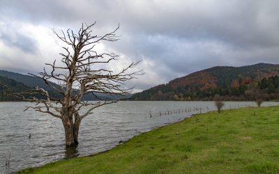 Autunno sul lago Ampollino