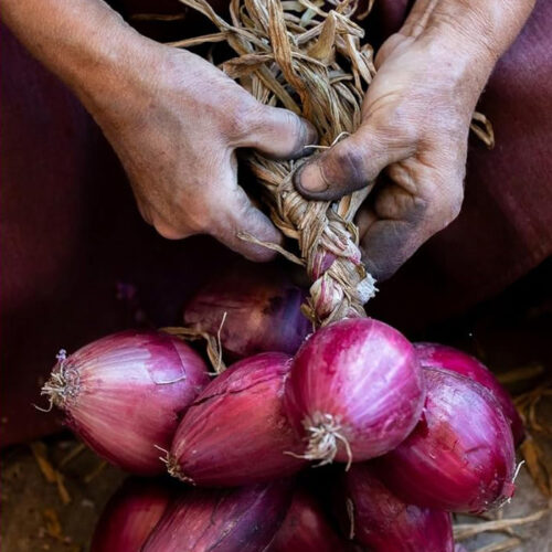 rossa_tra_colline-e-mare_002_Mario_Greco