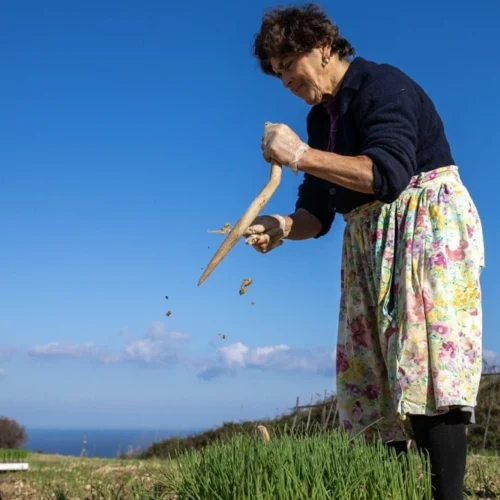 rossa_tra_colline-e-mare_004_Mario_Greco