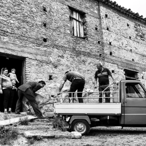 gallery_ape_009_Mario_Greco