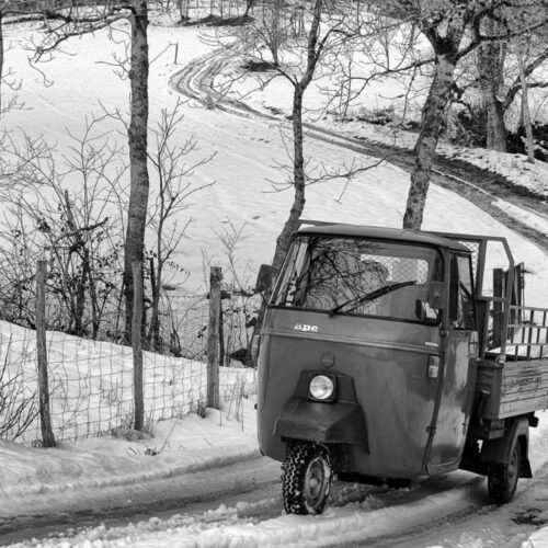 header_ape_regina_Mario_Greco