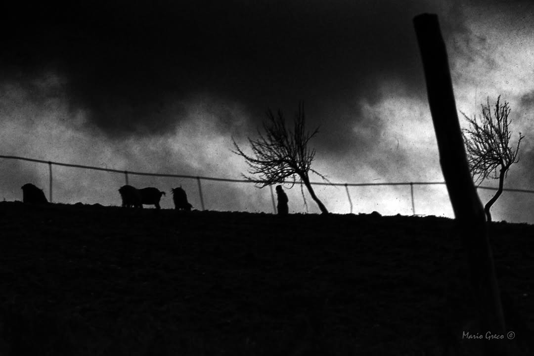 Mario Greco Fotografo